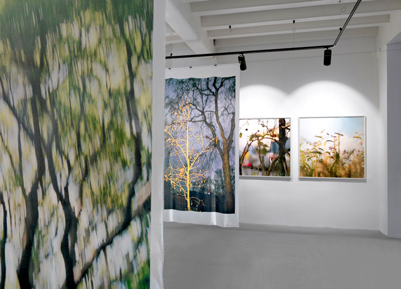 Galerie Fontana Jacquie Maria Wessels