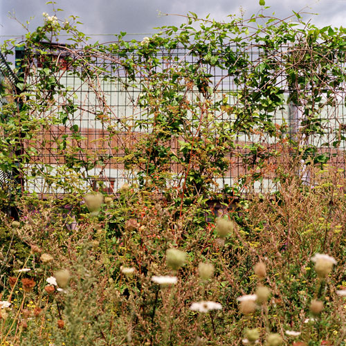 Fringe Nature Charleroi 2017 Jacquie Maria Wessels