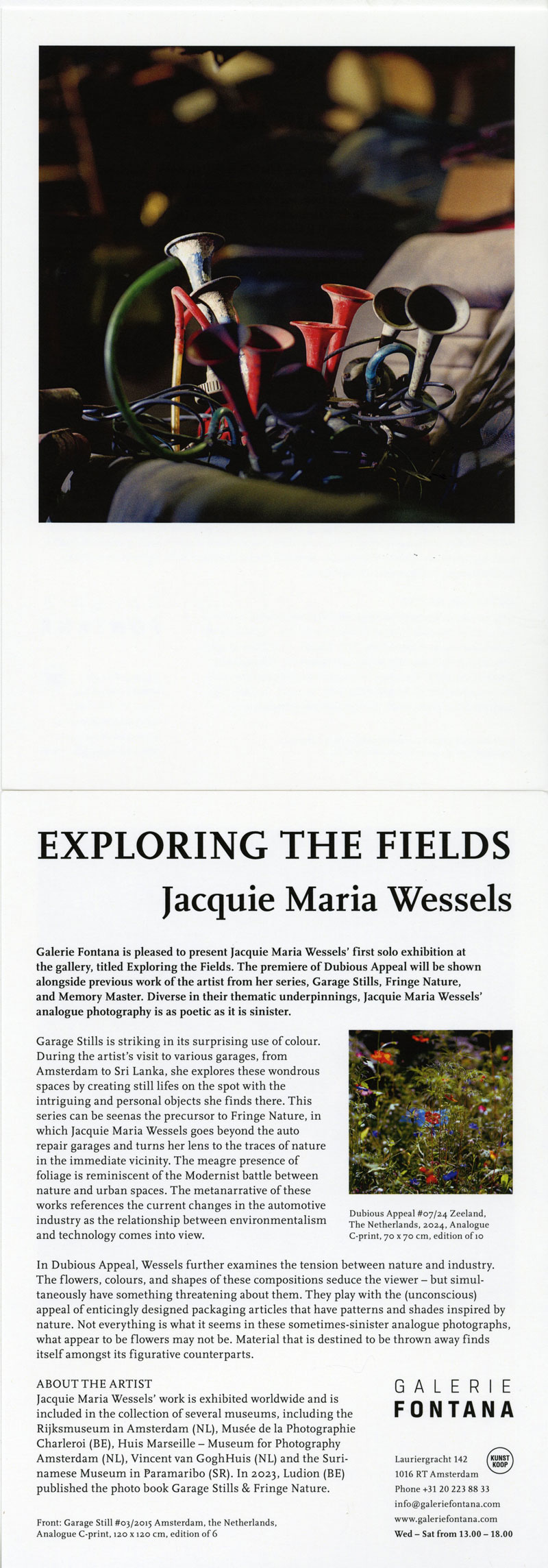 Galerie Fontana Jacquie Maria Wessels