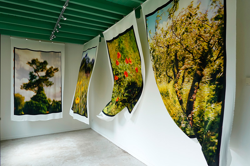Van GoghGalerie Jacquie Maria Wessels