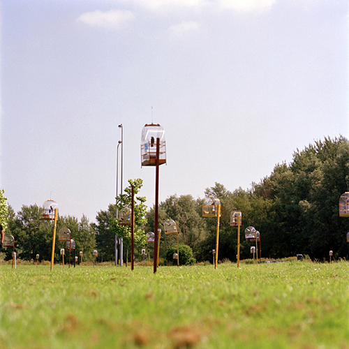 Birdman Amsterdam Netherlands 2007 Jacquie Maria Wessels