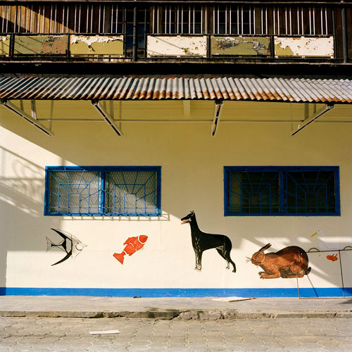 Cityscape Paramaribo Suriname 2008 Jacquie Maria Wessels