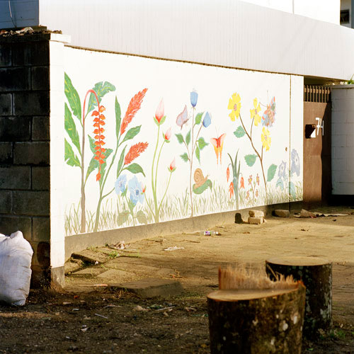 Cityscape Paramaribo Suriname 2008 Jacquie Maria Wessels