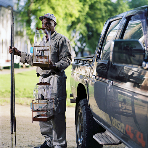 Birdman Paramaribo Suriname 2006 Jacquie Maria Wessels